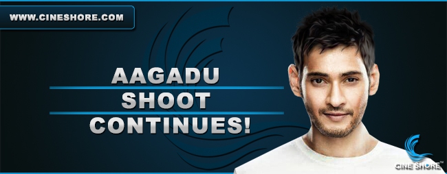 aagadu-shoot-continues