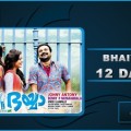 Bhaiyya Bhaiyya 12 Days Collection Images