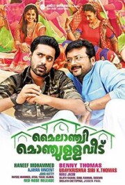 Mylanchi Monchulla Veedu Movie Review Image