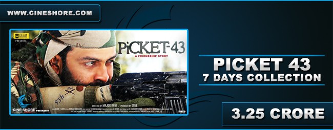 Picket 43 7 Days Collection Image