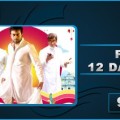 Pavada 12 Days Collection