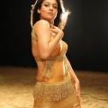 nayanthara-malayalam-actress-hot-stills10