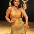 nayanthara-malayalam-actress-hot-stills16