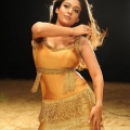 nayanthara-malayalam-actress-hot-stills23