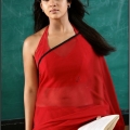 nayanthara-malayalam-actress-stills15