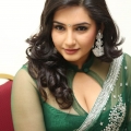 ragini-dwivedi-hot-cleavage-stills-3