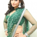 ragini-dwivedi-hot-stills-10