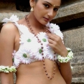 ragini-dwivedi-sexy-hot-navel-stills-1