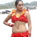 ragini-dwivedi-sexy-hot-navel-stills-2