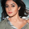 Shamna Kasim Photoshoot