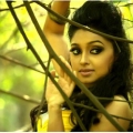 sija-rose-malayalam-actress-stills33