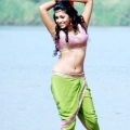 amala-paul-malayalam-actress-hot-stills-1
