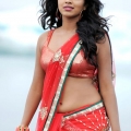 amala-paul-malayalam-actress-hot-stills-4