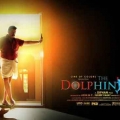 dolphins-posters-10