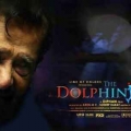 dolphins-posters-12