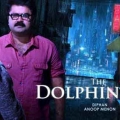 dolphins-posters-8